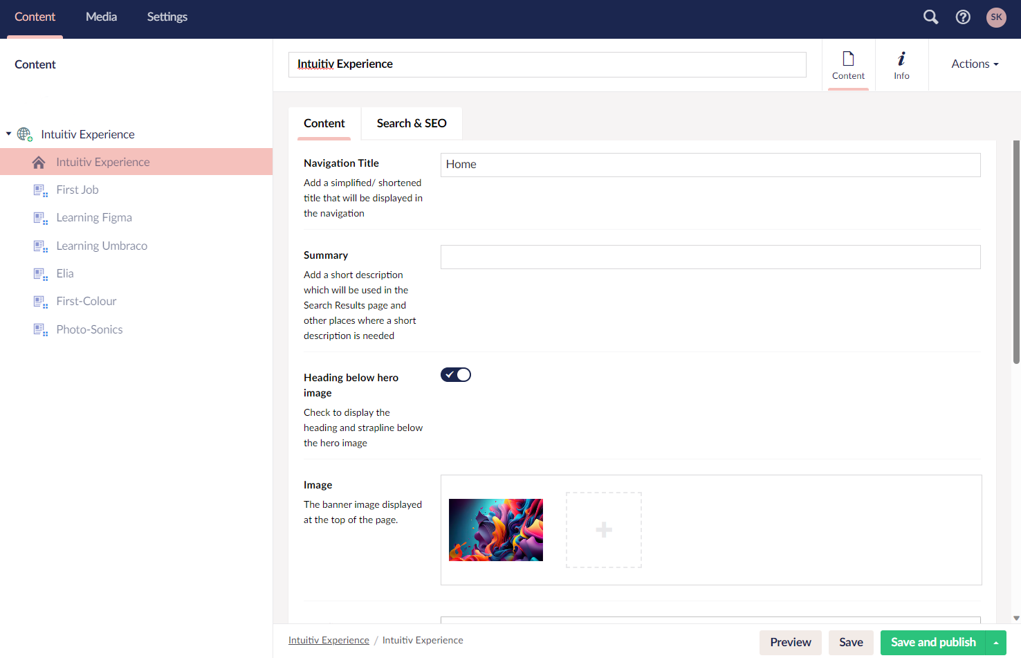 'Intuitiv experience' Umbracco page